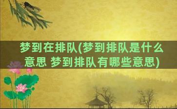 梦到在排队(梦到排队是什么意思 梦到排队有哪些意思)